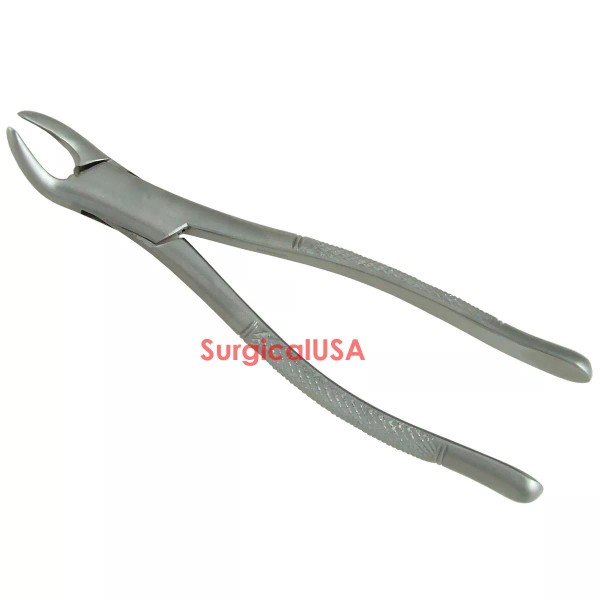 SURGICALUSA Extracting Forceps 151 Serrated Lower Universal Dental Surgical Instruments