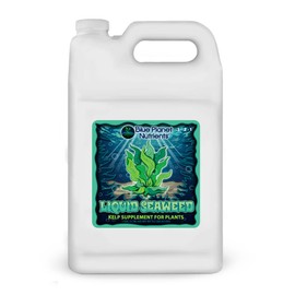 Liquid Kelp Seaweed Fertilizer Concentrate (Gallon) - Blue Planet Nutrients Ascophyllum Nodosum Liquid Seaweed Supplement - Makes 1,600+ Gallons - Organic Kelp for All Plants & Gardens