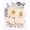 48PCS White Large Real Dried Pressed Flowers Leaves Natural Plant