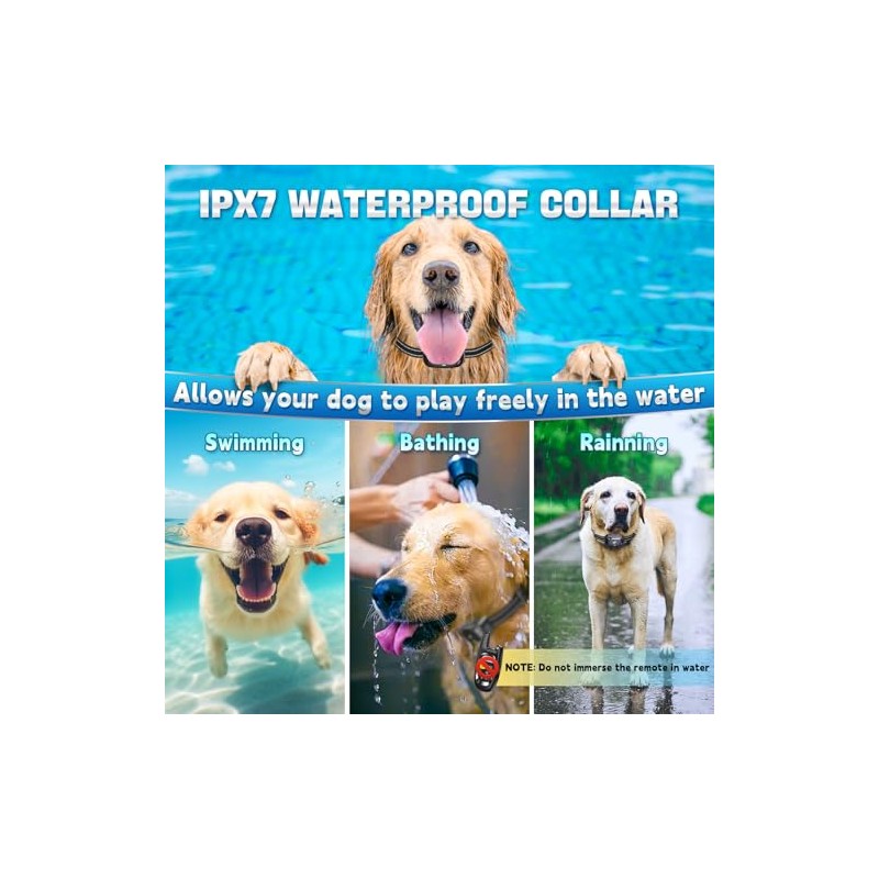 Dog Shock Collar with Remote Control- Training Collar for Small