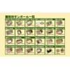 VillageBox Cardboard Manga S for 20 Books, Set of 30,