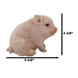 Ebros Rustic Adorable Animal Farm Babe Fat Nude Piglet Pig Sitting Figurine 6"L