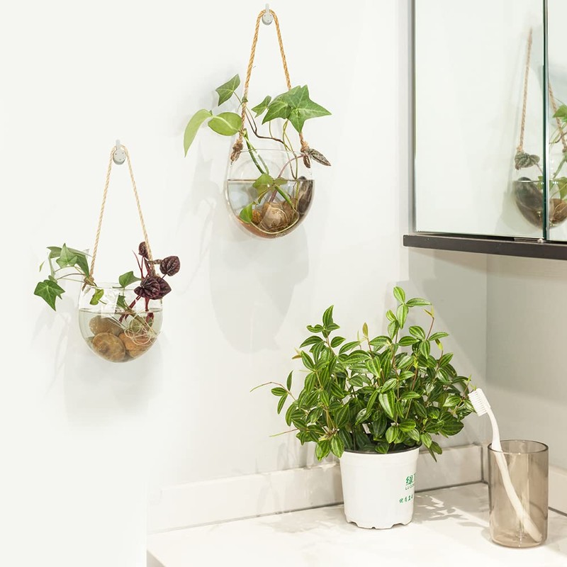 2 Pack Terrariums Container Flower Planter Hanging Glass for Hydroponic