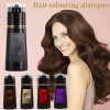Champú Teñir Cabello Tinte Instantáneo
