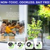 50 Window Fly Traps Sticky Non-Toxic Clear Fly Paper Indoor