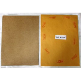 Doro Pesch Sister Sin NILE USA Tour February 2013 concert promo card ad handbill