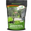 Outsidepride Perennial White MiniClover Seed - 1 lb. Dwarf, Small-Leaved,