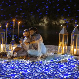 VIHOSE 4000 Pcs Artificial Rose Petals with 24 Pcs LED Tea Lights Candles Flameless LED Candles Fake Rose Petals for Valentine's Night Proposal Wedding(Blue Light, Vivid Color Petals)
