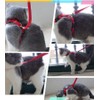 Plus Nao Lead Harness 2-Piece Set, For Cats, Pet Supplies,