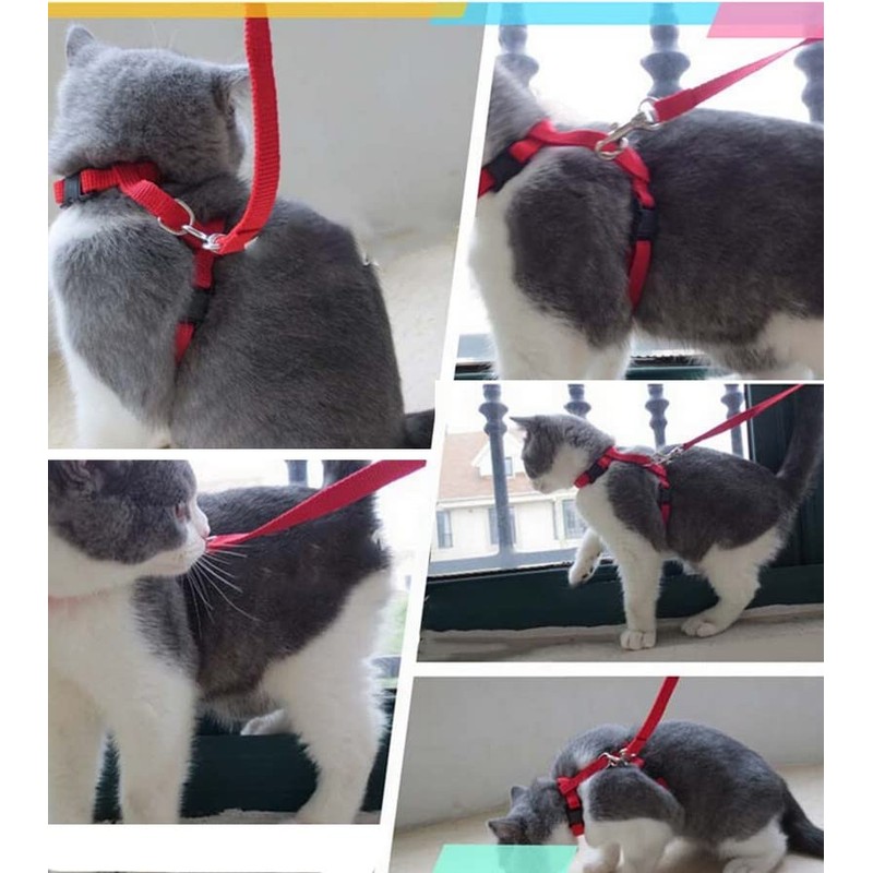 Plus Nao Lead Harness 2-Piece Set, For Cats, Pet Supplies,