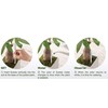IPPINKA Sustee Aquameter, Bundle of 12, House Plant Soil Moisture
