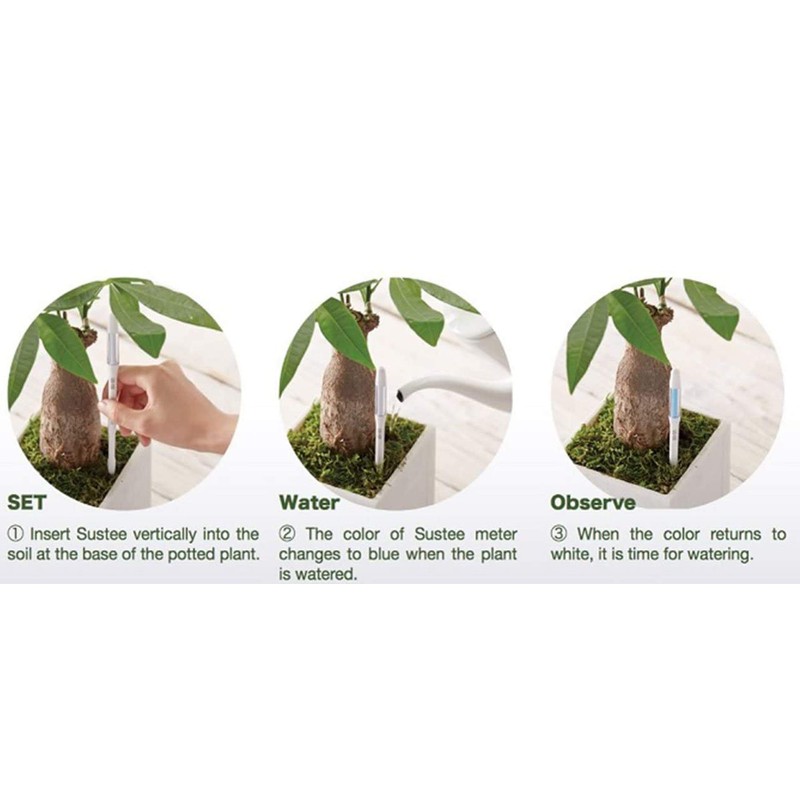 IPPINKA Sustee Aquameter, Bundle of 12, House Plant Soil Moisture