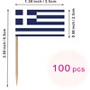 Greece Toothpick Flag Greek National Small Mini Cocktail Fruit Cupcakes