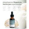 LANDA Extracto Liquido de Hongo Melena de León 30 ml