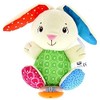 Chicco 00007930000000 Music Box Bunny First Love, Multi-Coloured