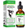 Dog Antibiotics Antibiotics for Dogs Dog Eye Infection Treatment Dog