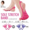 Alphax Sole Stretch Band 2 Pack, Blue (Hard)