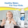 EXCELPURE 9000 077104 UltraClarity REPLFLTR10 Refrigerator Water Filter Replacement for