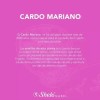 Extracto Cardo Mariano Sheló Nabel Sabor Amargo