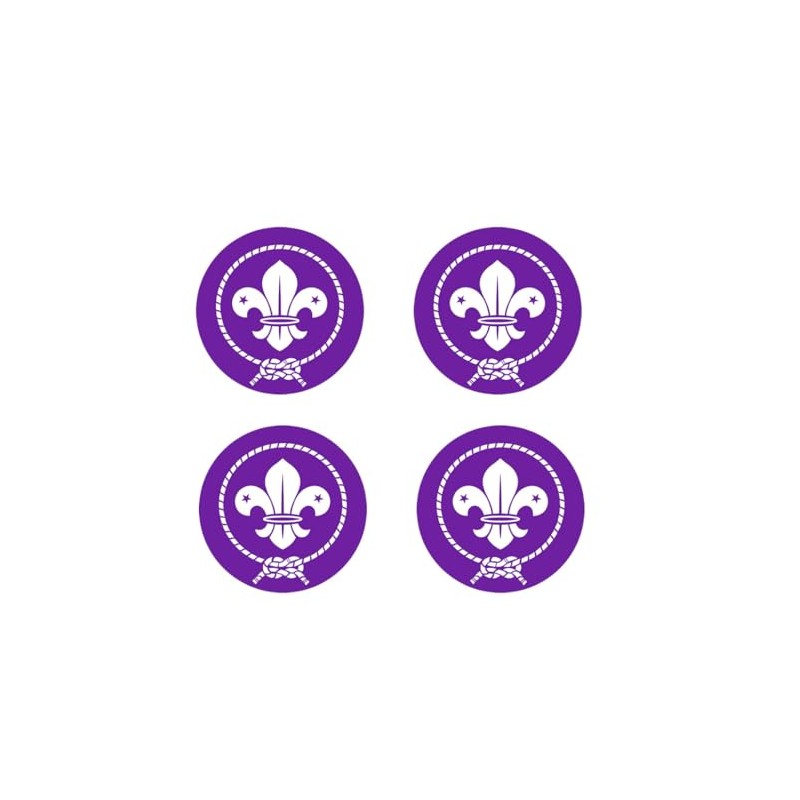 Set of 4 x Scouts Iron on Screen Print Transfer