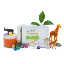 Wild Wonders Mini Sensory Kit, Safari Animals Sensory Play, Development and Fine Motor Skills, Tactile Activities for On The Go, Safari Animals Sensory Toys for Preschoolers and Kids Ages 4,5,6,7,8