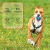 Lotsdonxia 2 Pcs Small Latex Squeaky Dog Ball – Interactive