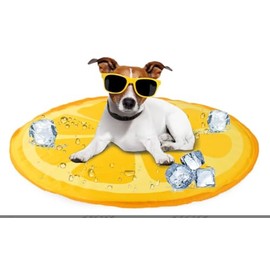 Pet Cooling Mat, Orange Design, 60 cm Diameter, Temperature Reducing Pad for Dogs