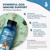 Dog Allergy Relief & Immune Support, Natural Holistic Itch Relief