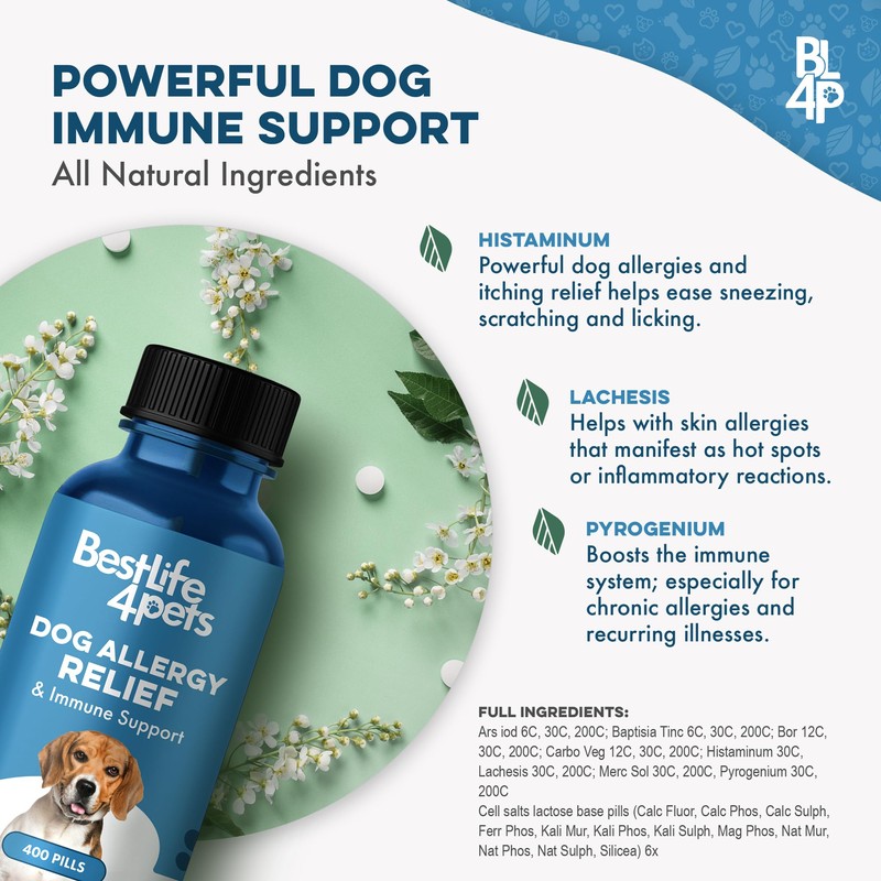 Dog Allergy Relief & Immune Support, Natural Holistic Itch Relief