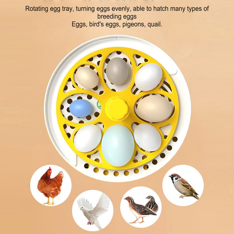 4 Eggs Incubator Temperature Humidity Control Visual Low Noise Energy
