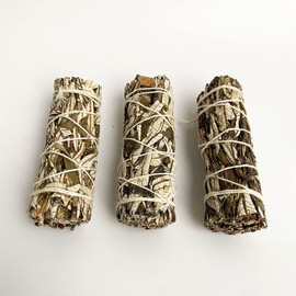 White Sage and Yerba Santa 4"