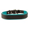 Perri's Padded Leather Dog Collar, Black/Turquoise, Medium/1" x 21" - fitting dogs with 12 - 16" necks