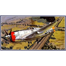 Micro Ace 1/48 War Machine Series No. 16 US Army Republic P-47D Thunderbolt Plastic Model