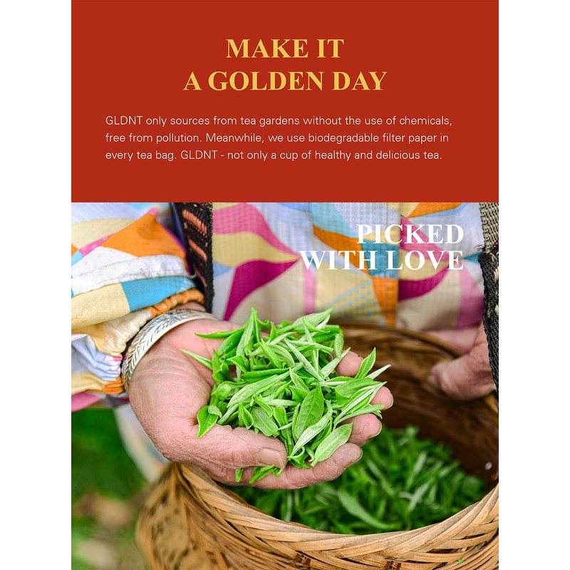 GLDNT Organic Pu-erh Tea Bags, Fermented Yunnan Dark Tea, Bold