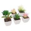 6PCS Potted Artificial Succulents Artificial Plants in Pots Plastic Fake