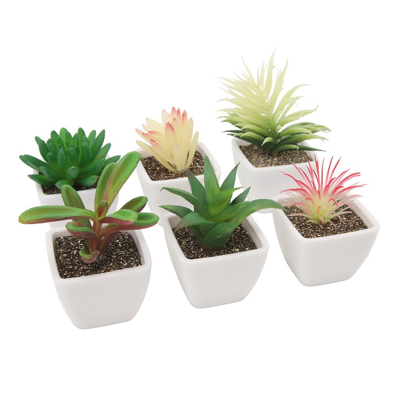 6PCS Potted Artificial Succulents Artificial Plants in Pots Plastic Fake