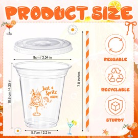 48 Pack Just a Spritz Older Disposable Plastic 12oz Cups with Paper Straws Cocktail Cup with Lids for Cocktail Birthday Party Supplies Pool Summer Beach Themed Decorations