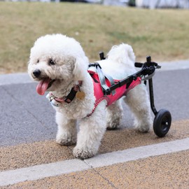 Updated Dog Wheelchair for Back Legs, Small Dog Wheelchair with Wheels, Light Weight Pet Wheelchair for Leg Support Helps Senior,Injured,Paralyzed, M & Pink