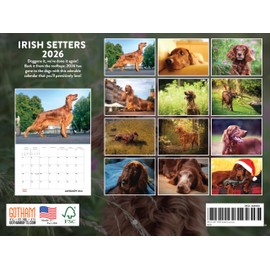 Irish Setter Calendar 2026 Monthly Wall Calender 12 Month | American Made In The USA