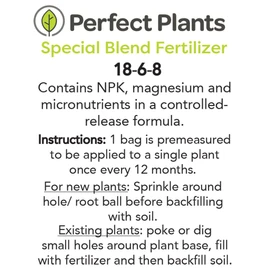 LONGLEAF Pine - Size: 3 Gallon, Live Plant, Includes Special Blend Fertilizer & Planting Guide
