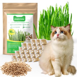 1 Pound Non-GMO Organic Wheat Cat Grass Seeds - Individual Packets for Easy Planting and Storage - Heirloom Oat Barley Blend for Indoor Cats