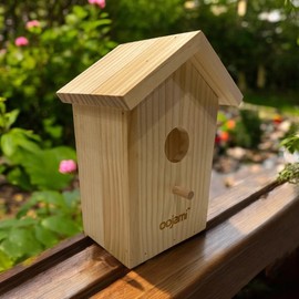 Window Bird House with Suction Cups Transparent See-Through Wooden Design for Bird Watching, Kids & Adults (Unfinished DIY)