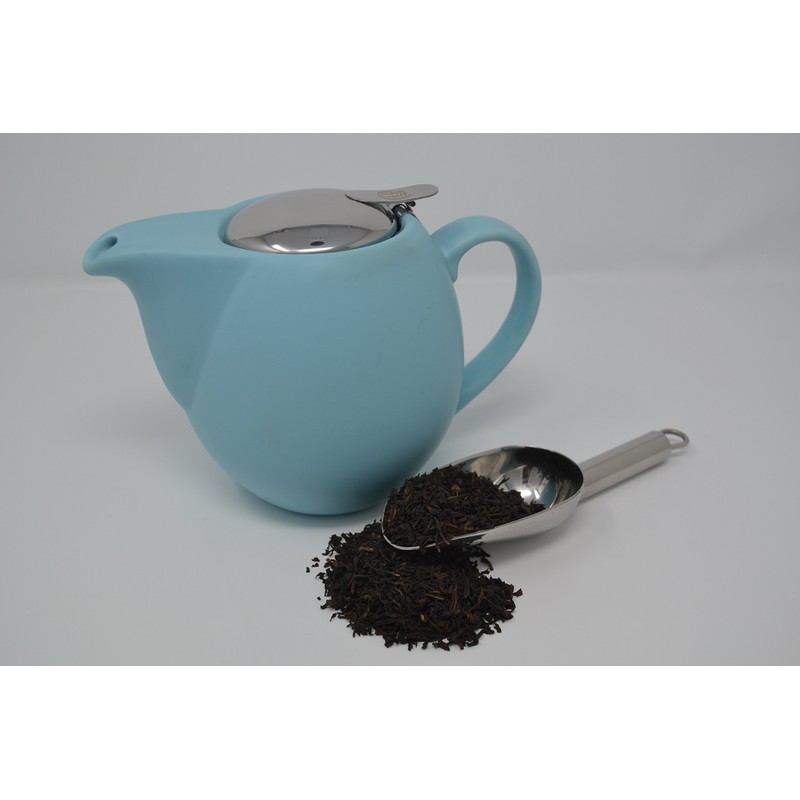 Saara, 0.9 Litre Ceramic Teapot with Insert, Ceramic, Matt Sky