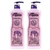 Moist and soft moisturizing film forming body lotion 500ml lavender 2 x / 촉촉 부드럽게 보습막형성 바디로션 500ml 라벤더 2개
