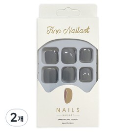 Varna Fashion Paddy Tips, 2 pieces, Silver Gray 249 / 바르나 패션 패디팁, 2개, 실버그레이 249