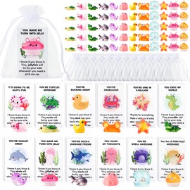 Briwooody 60 Sets Employee Appreciation Gifts Bulk for Coworkers Mixed Thank You Gift Set with Resin Toys Pun Inspirational Notecards Organza Bags for Staff Coworker Office(Animal)