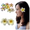 4Pcs Hair Flower Clips, 7cm White and Pink Hawaiian Frangipani,
