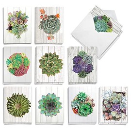 The Best Card Company 20 Assorted Boxed Thank You Note Card Set w/Envelope, 2 Each, 10 Design (4 x 5.12 Inch), Shiplap Succulents AM6438TYG-B2x10