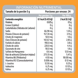 HEALTHADDICTION Polvo de Electrolitos con BCAA’s Prebióticos y Vitaminas B – Sin Azúcar ni Calorías – Hidratación y Recuperación – Sabor Naranja – Fórmula Baja en Sodio y Libre de Gluten – 120g