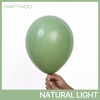 PartyWoo Sage Green Balloons 140pcs Different Sizes Pack of 18